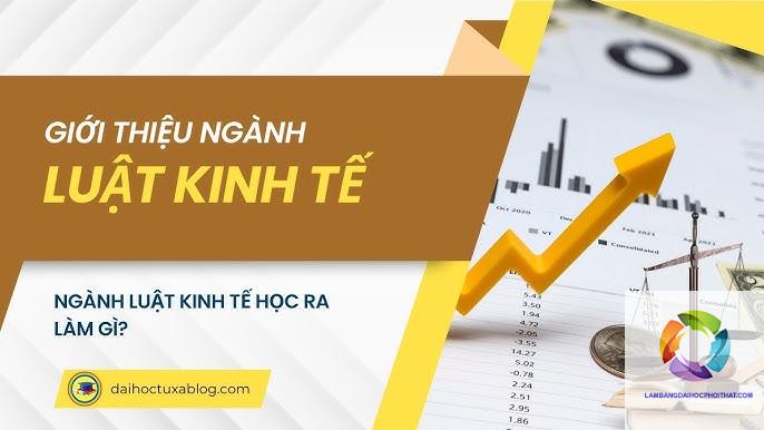bằng đại học luật kinh tế ra làm gì - Hình 5