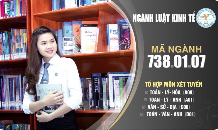 Bằng đại học luật kinh tế ra làm gì? Cơ hội việc làm và lộ trình nghề nghiệp chi tiết