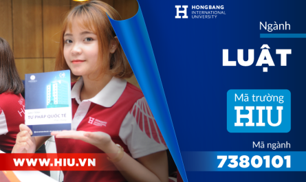 bằng đại học luật quốc tế có dễ xin việc không