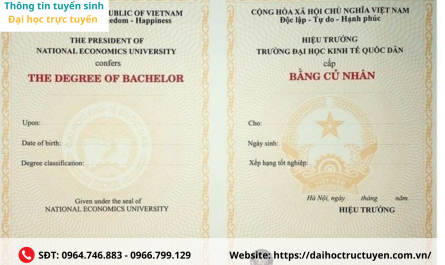 bằng đại học luật quốc tế làm tư vấn pháp luật được không