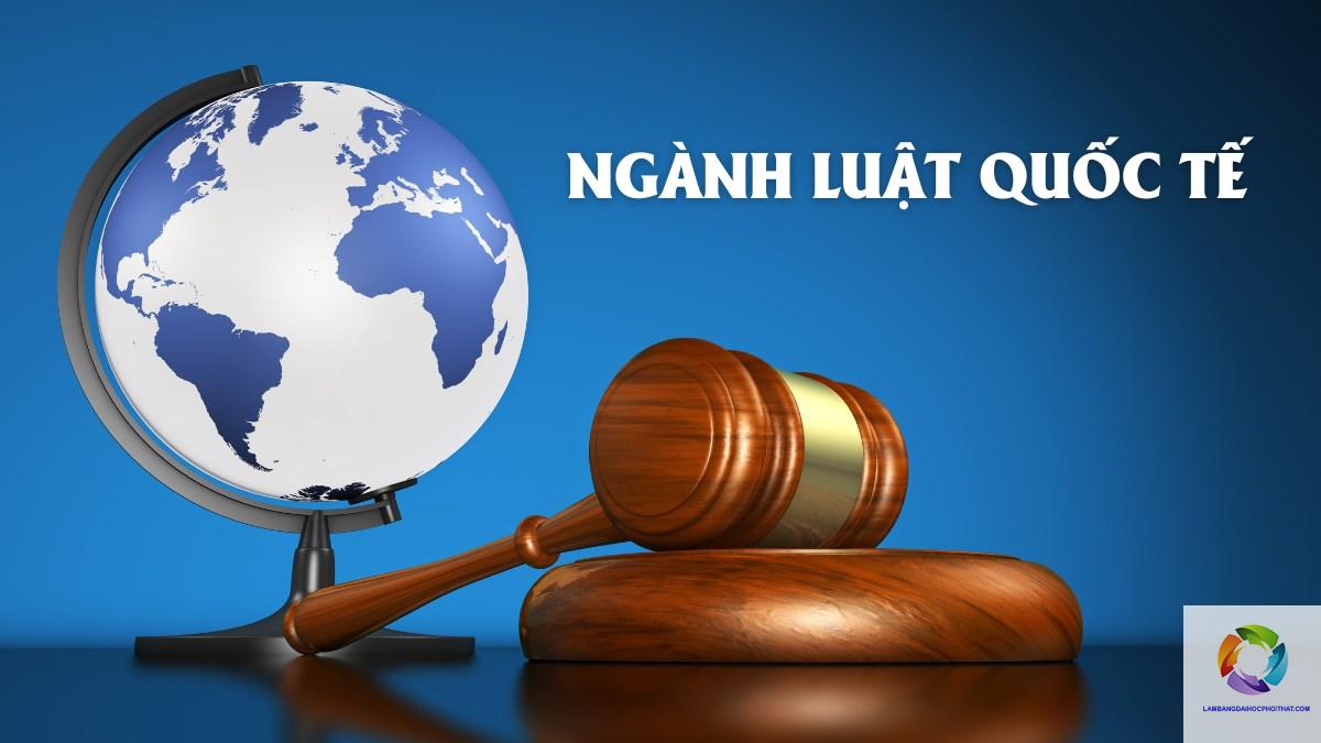 bằng đại học luật quốc tế lương bao nhiêu - Hình 1