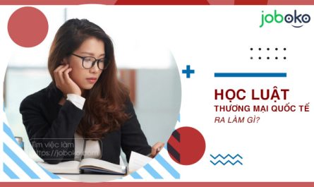 bằng đại học luật quốc tế ra làm gì