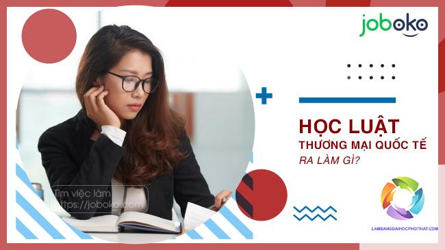 bằng đại học luật quốc tế ra làm gì - Hình 1