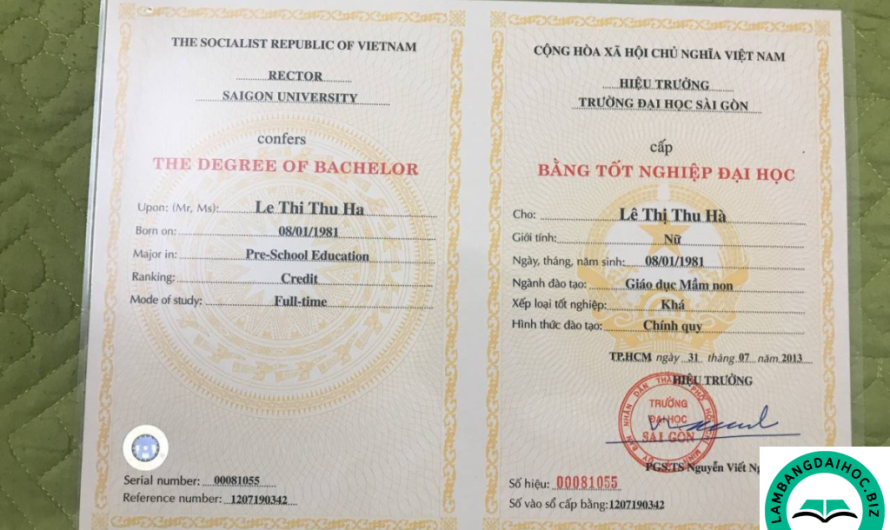 Bằng đại học ngành công nghệ thông tin làm ai được không? Cơ hội việc làm thực tế năm 2025