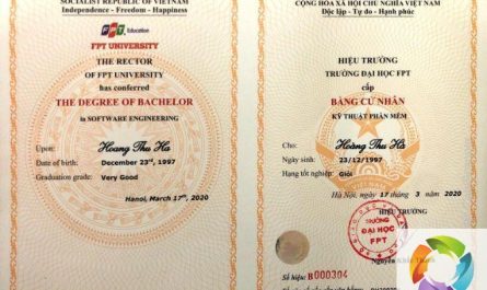 bằng đại học ngành công nghệ thông tin làm lập trình viên được không