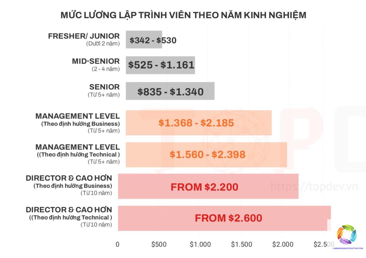 bằng đại học ngành công nghệ thông tin lương bao nhiêu - Hình 1