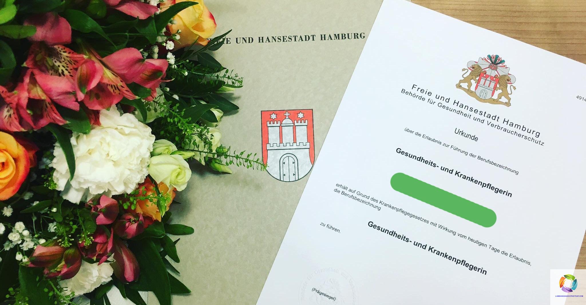bằng đại học ngành điều dưỡng có đi đức được không - Hình 2