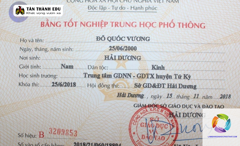 bằng đại học ngành điều dưỡng có đi đức được không - Hình 4
