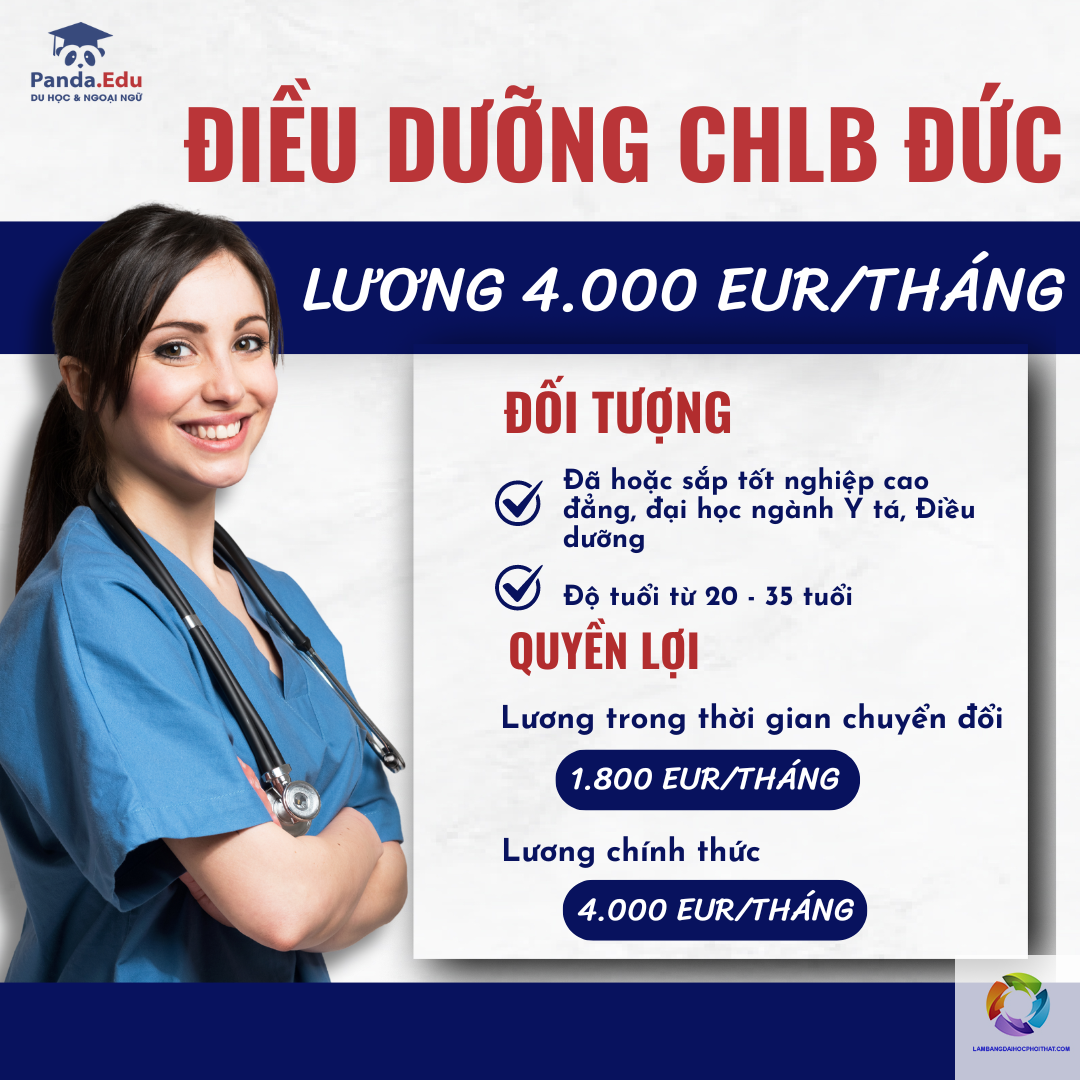 bằng đại học ngành điều dưỡng có đi đức được không - Hình 5