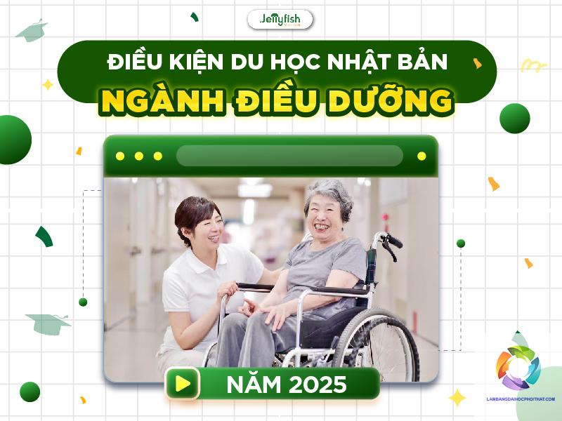 bằng đại học ngành điều dưỡng có đi nhật được không - Hình 2