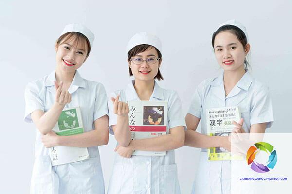 bằng đại học ngành điều dưỡng có đi nhật được không - Hình 3