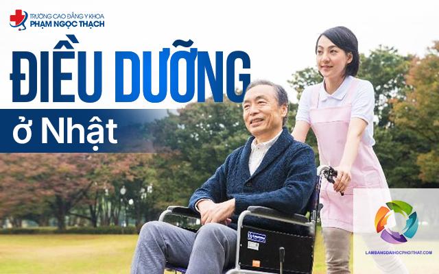 bằng đại học ngành điều dưỡng có đi nhật được không - Hình 4