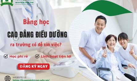 bằng đại học ngành điều dưỡng xin việc ở đâu