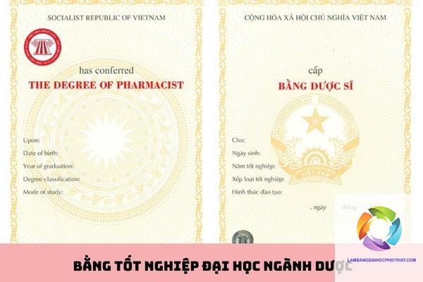 bằng đại học ngành dược có giá trị gì - Hình 1