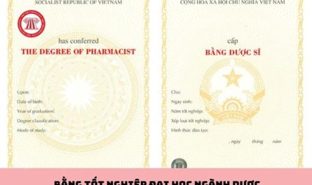 bằng đại học ngành dược ra làm gì