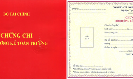 bằng đại học ngành kế toán làm kế toán trưởng được không