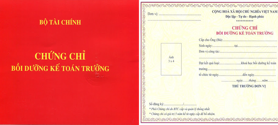 Bằng đại học ngành kế toán làm kế toán trưởng được không? Điều kiện và lộ trình chi tiết