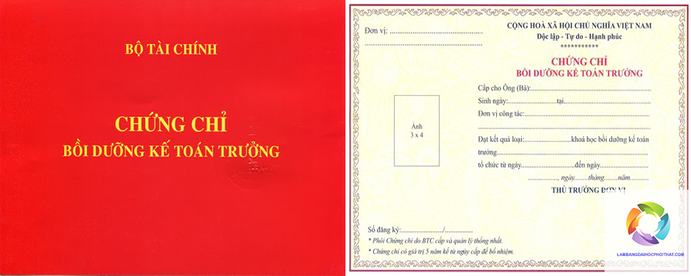bằng đại học ngành kế toán làm kế toán trưởng được không - Hình 1