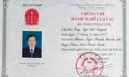 bằng đại học ngành luật có làm luật sư được không