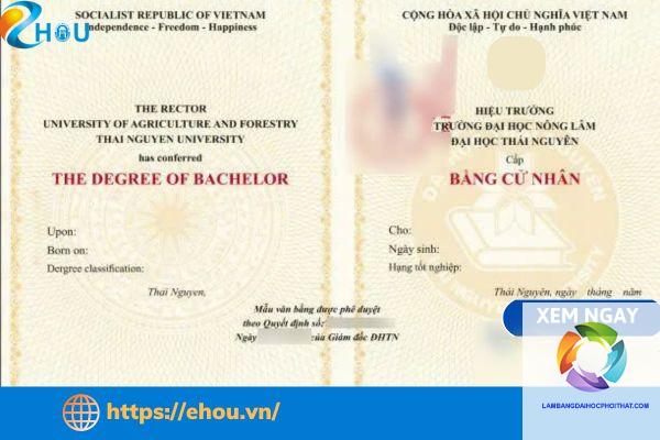 bằng đại học ngành luật có thi công chức được không - Hình 4