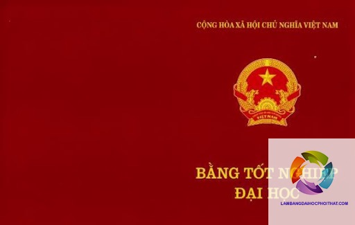 bằng đại học ngành luật có thi công chức được không - Hình 5