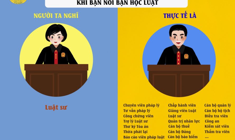 Bằng đại học ngành luật ra làm gì? Cơ hội việc làm rộng mở cho cử nhân luật