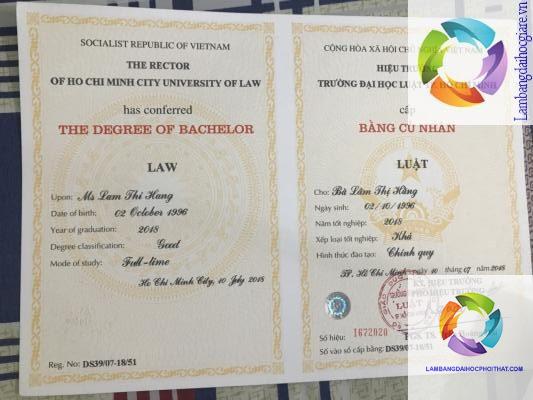 bằng đại học ngành luật xin việc ở đâu - Hình 4
