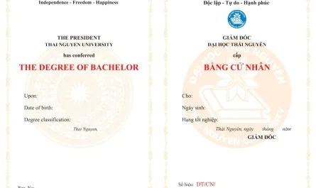 bằng đại học ngành marketing có học lên thạc sĩ được không