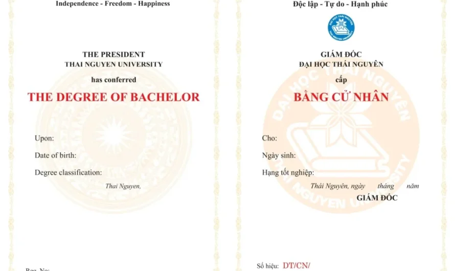 Bằng đại học ngành marketing có học lên thạc sĩ được không? Giải đáp chi tiết từ A-Z