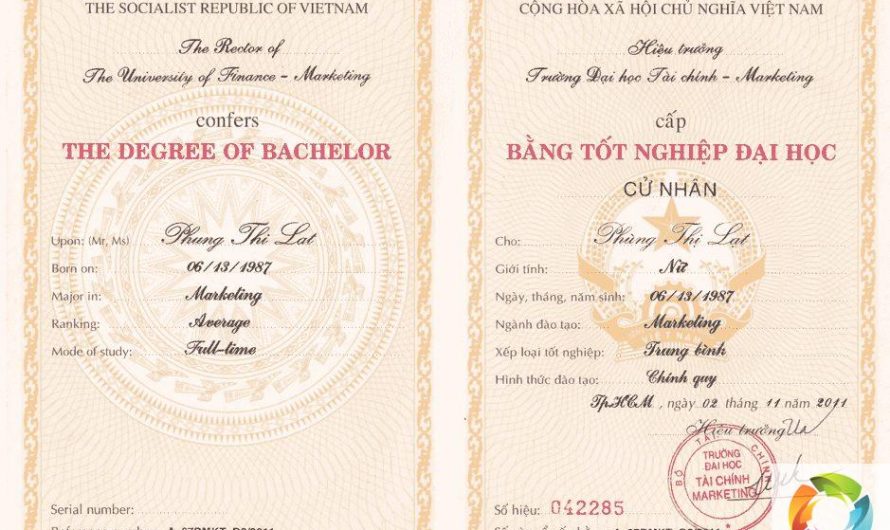 Bằng đại học ngành marketing là gì? Giải mã tấm vé thông hành vào thế giới tiếp thị hiện đại