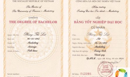 bằng đại học ngành marketing là gì