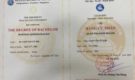 bằng đại học ngành tài chính ngân hàng có thi công chức được không