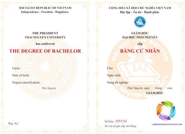 bằng đại học ngành tài chính ngân hàng làm ở đâu - Hình 5