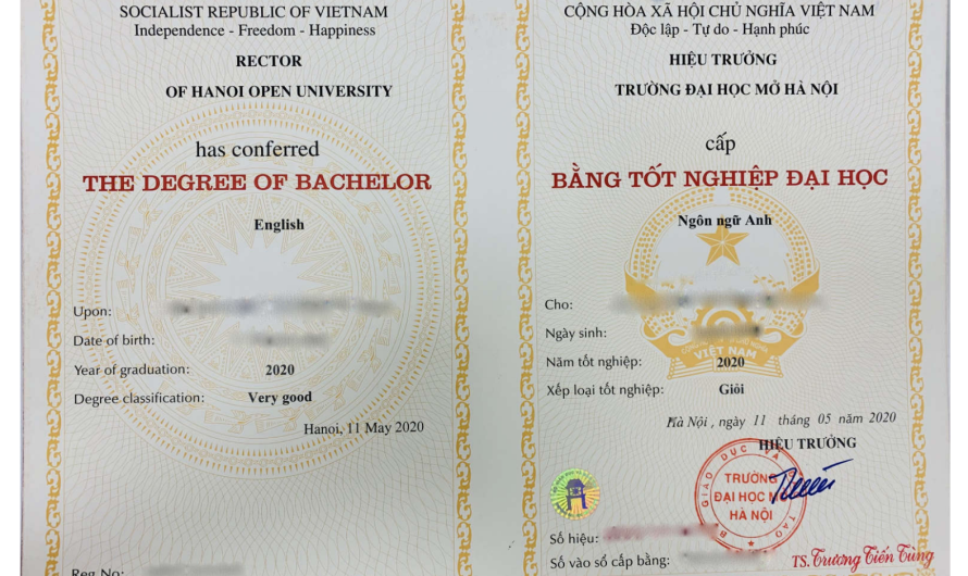Bằng đại học ngôn ngữ Anh là gì? Giải mã tấm bằng và cơ hội nghề nghiệp
