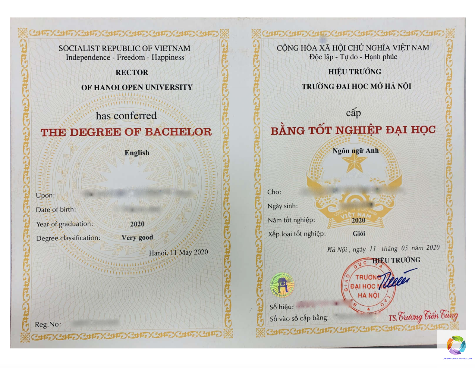 bằng đại học ngôn ngữ anh là gì - Hình 1