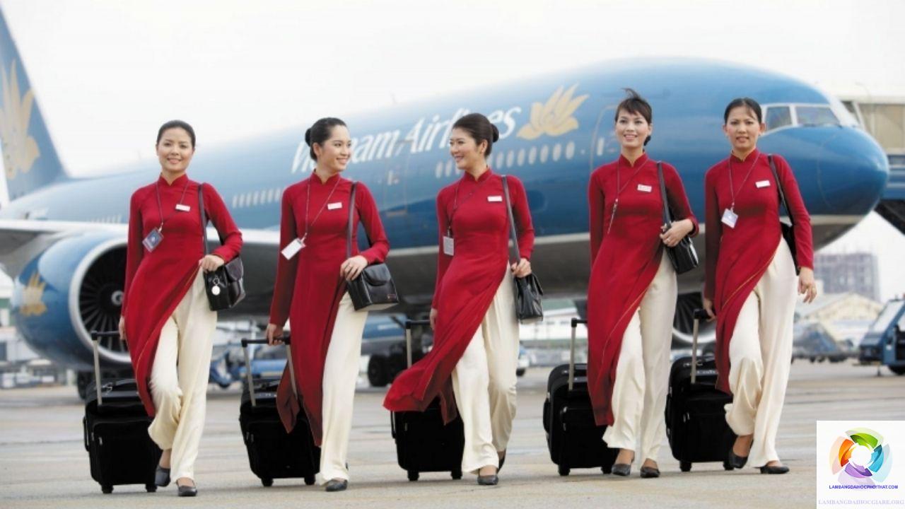 bằng đại học ngôn ngữ anh làm tiếp viên hàng không được không - Hình 2