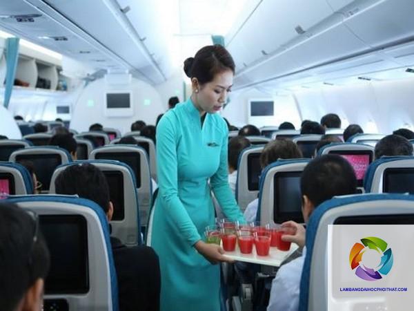 bằng đại học ngôn ngữ anh làm tiếp viên hàng không được không - Hình 4