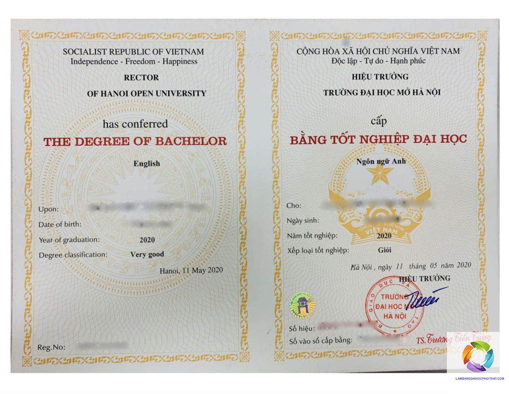 bằng đại học ngôn ngữ anh ra làm gì