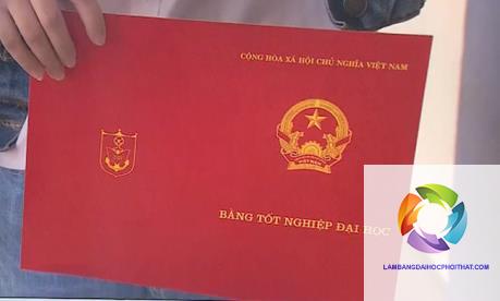 bằng đại học quan trọng như thế nào - Hình 2