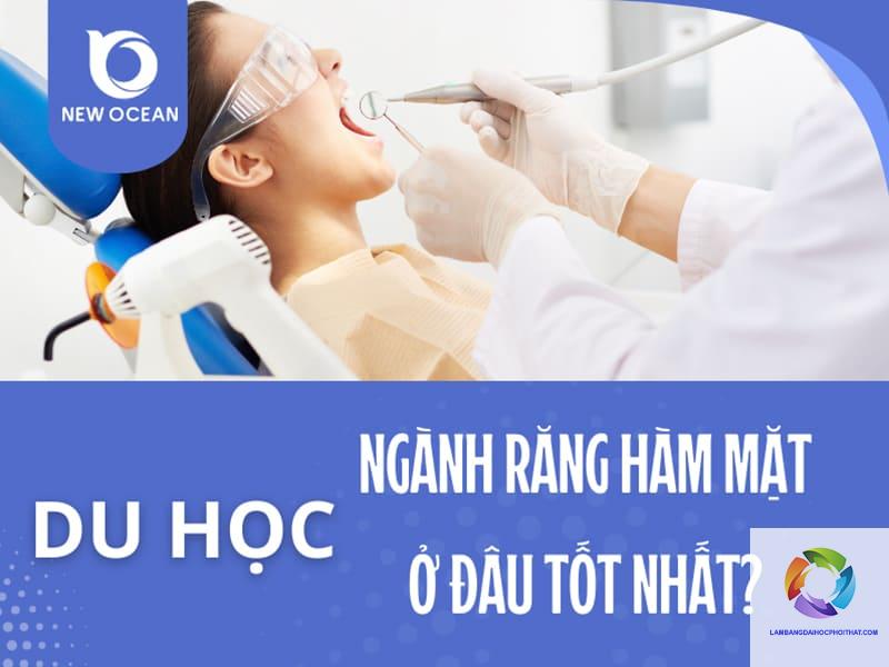 bằng đại học răng hàm mặt có đi nước ngoài được không - Hình 3