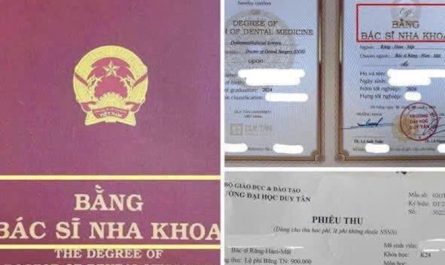 bằng đại học răng hàm mặt có giá trị gì