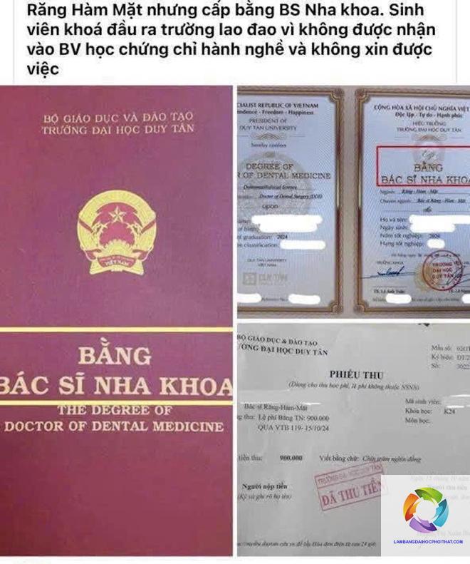 bằng đại học răng hàm mặt có giá trị gì - Hình 1