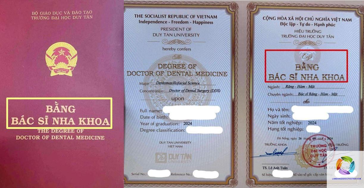 bằng đại học răng hàm mặt là gì - Hình 4