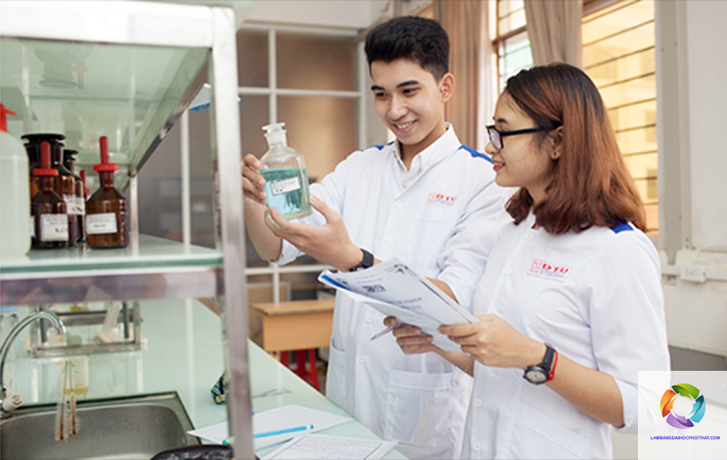 bằng đại học răng hàm mặt làm bệnh viện được không - Hình 3