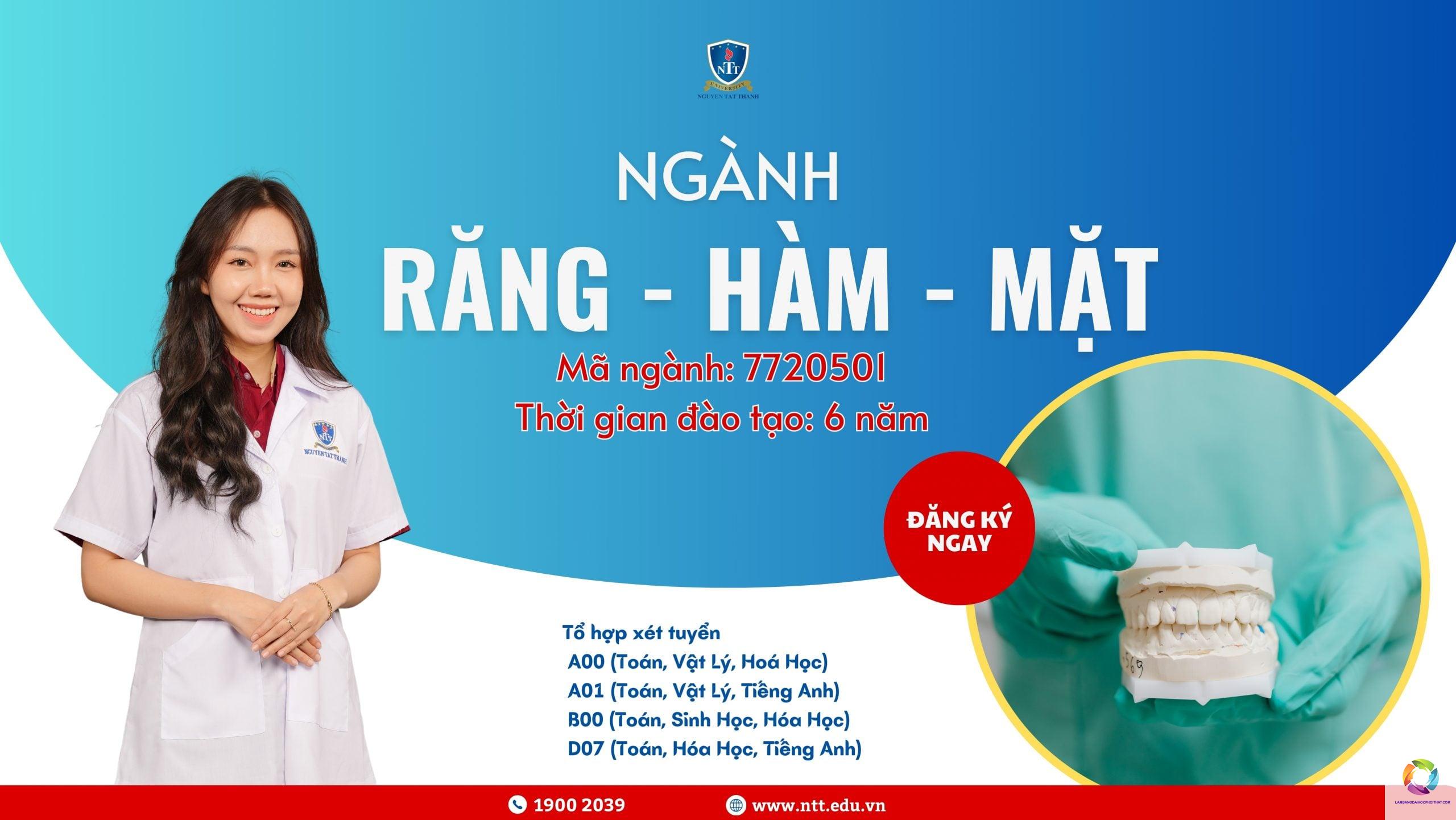 bằng đại học răng hàm mặt làm bệnh viện được không - Hình 5