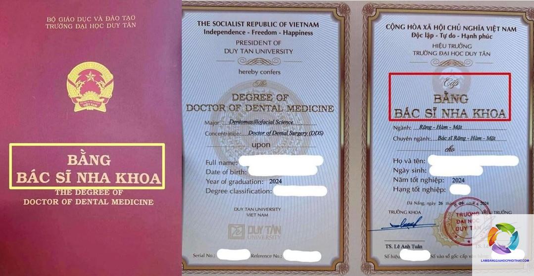 bằng đại học răng hàm mặt lương bao nhiêu - Hình 4