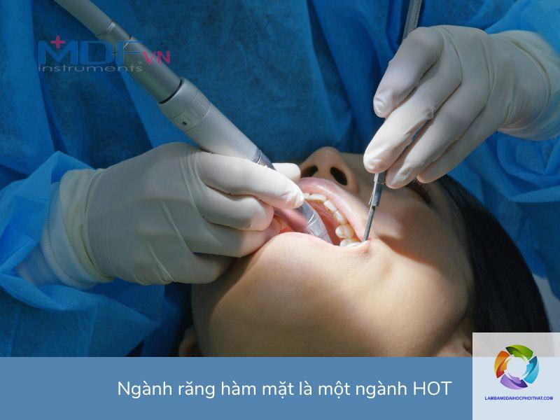 bằng đại học răng hàm mặt lương bao nhiêu - Hình 5