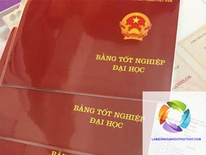 bằng đại học sử dụng vĩnh viễn không - Hình 2