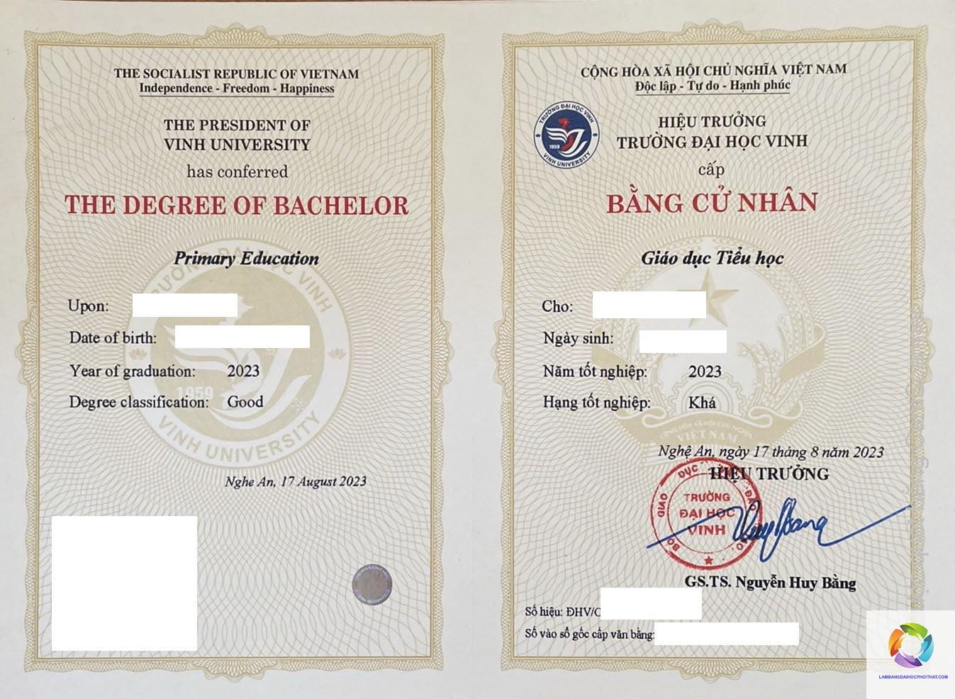 bằng đại học sư phạm tiểu học có giá trị gì - Hình 2