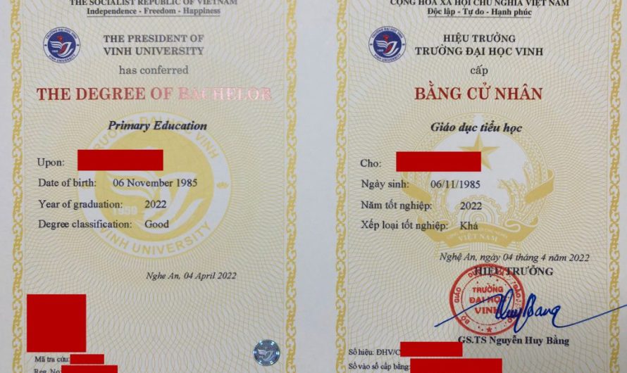 Bằng đại học sư phạm tiểu học có thi viên chức được không? Giải đáp chi tiết từ A-Z